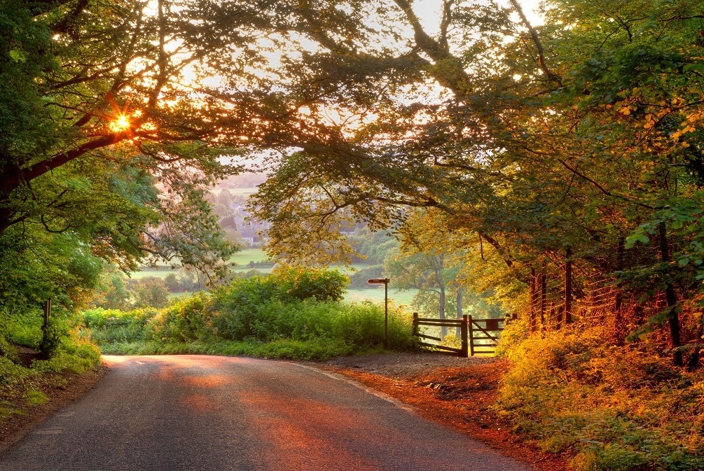 Autumn in the Cotswolds 11 Cozy British Mystery Novels to Curl Up to This Autumn. - Great British Book Club